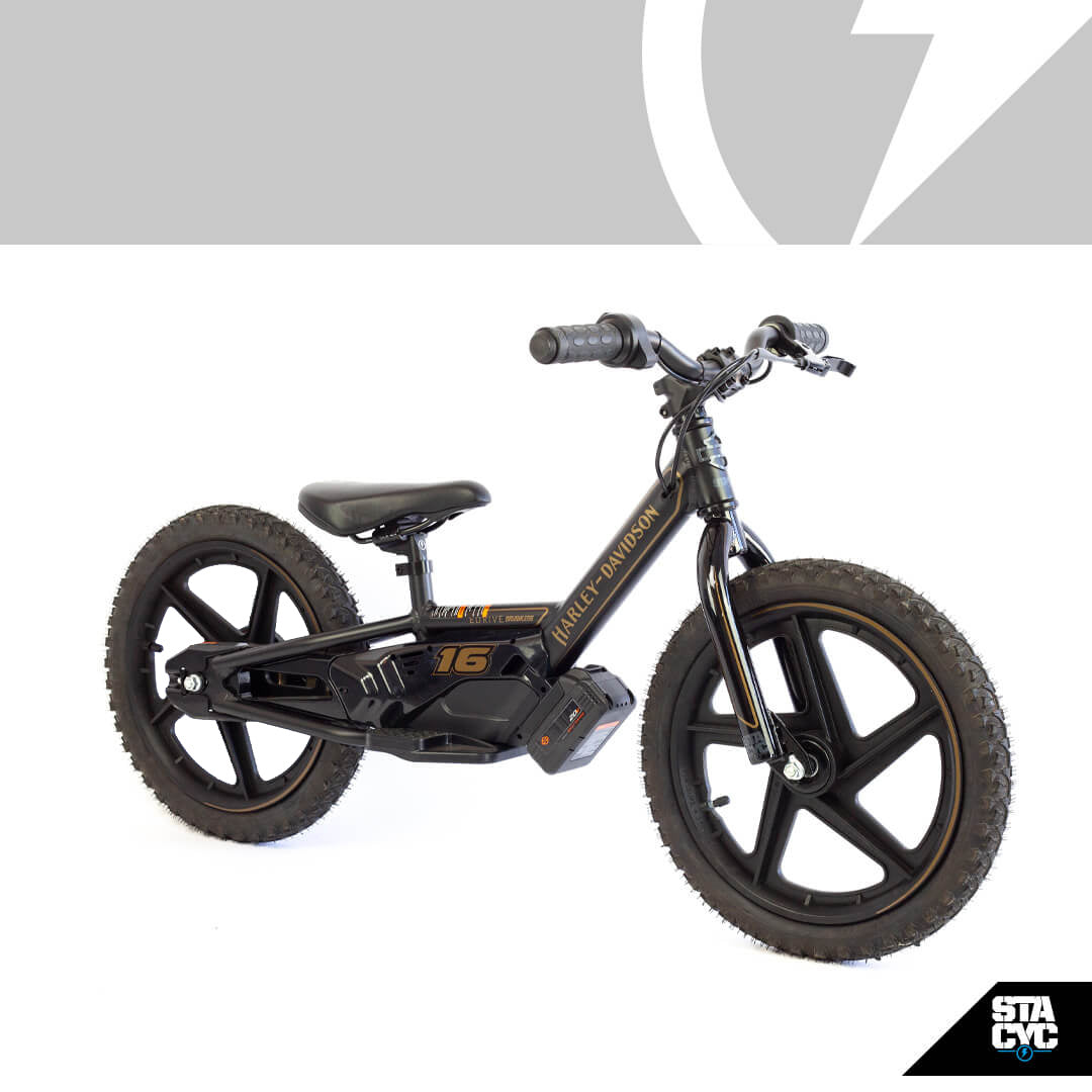 stacyc 16 fahrrad xxl H-D 16eDRIVE BRUSHLESS