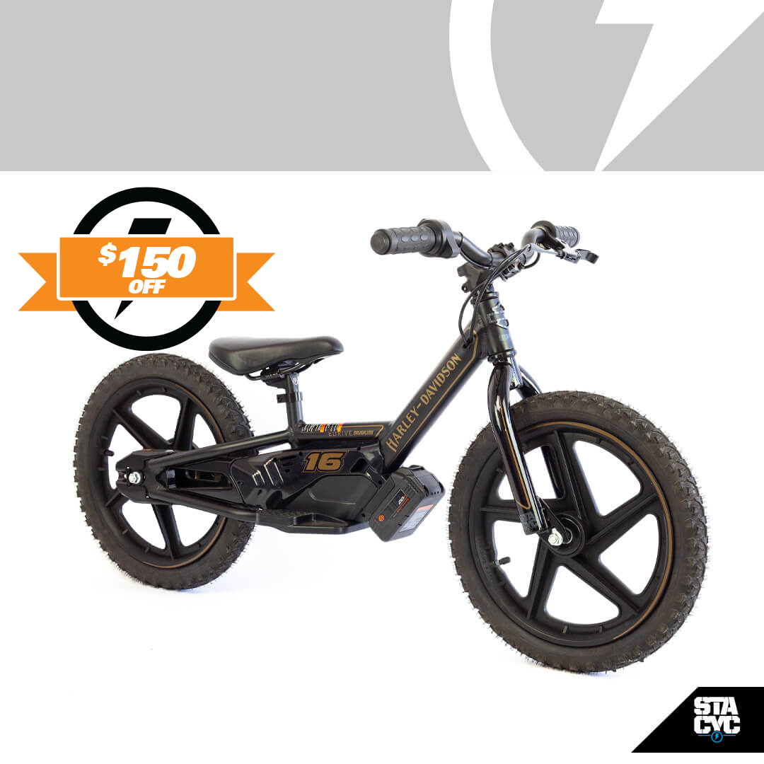 H-D 16eDRIVE BRUSHLESS