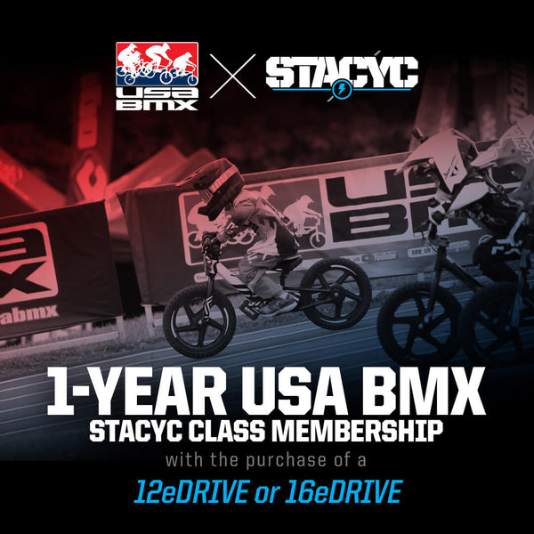 STACYC 16eDRIVE BRUSHLESS