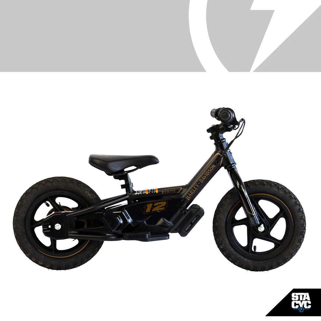 Harley-Davidson- Chargeur de batterie 12 Volt - Europe- 66000042 – Kustom  Store Motorcycles