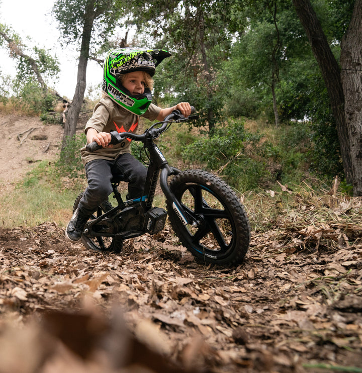 STACYC 16eDRIVE BRUSHLESS