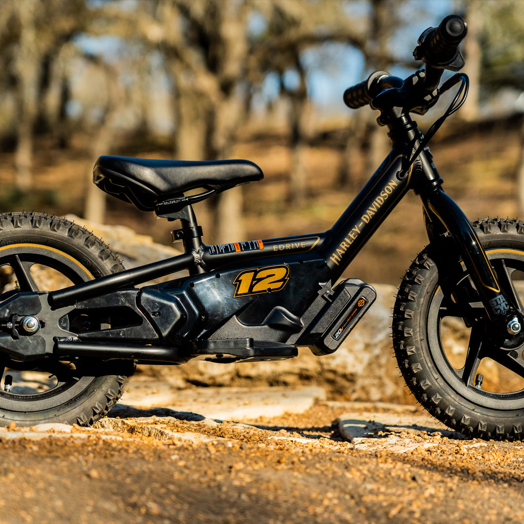 STACYC Electric Balance Bikes for kids age 3-5