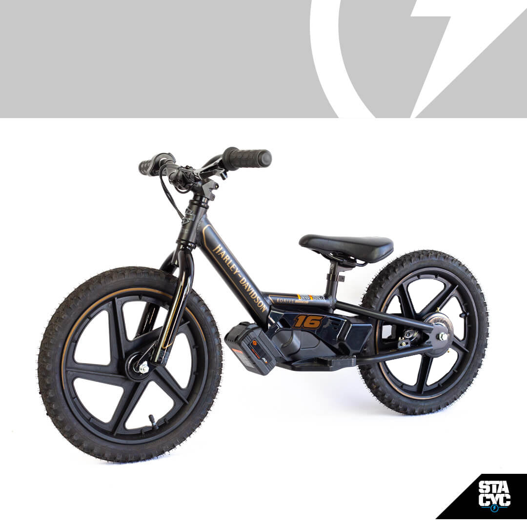 H-D 16eDRIVE BRUSHLESS