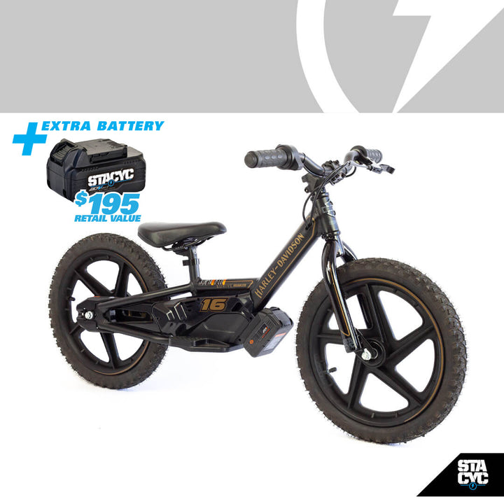 H-D 16eDRIVE BRUSHLESS