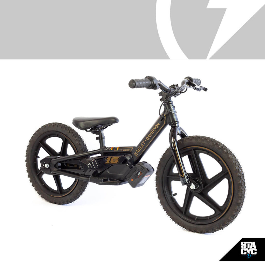 H-D 16eDRIVE BRUSHLESS – STACYC