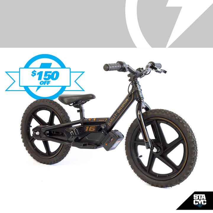 H-D 16eDRIVE BRUSHLESS