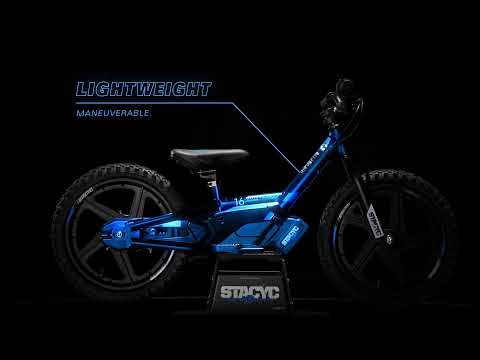 H-D 16eDRIVE BRUSHLESS