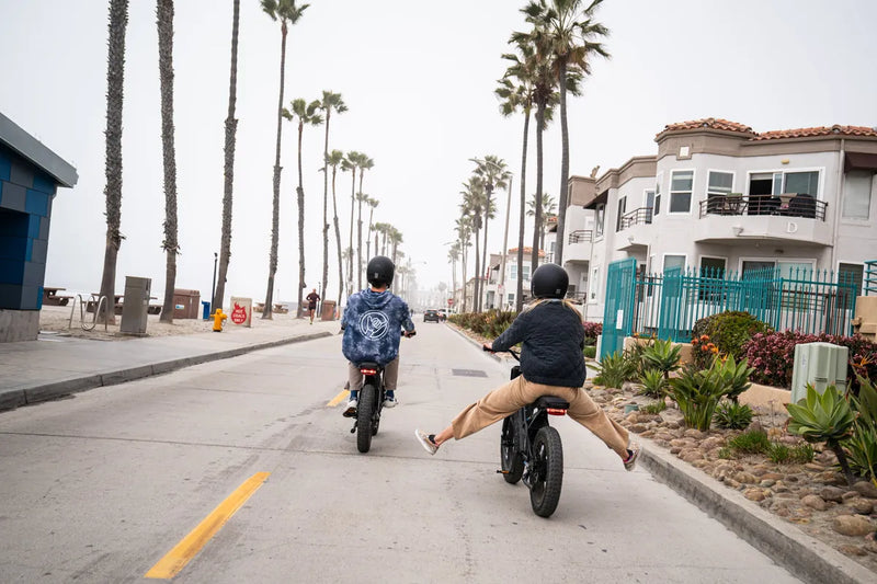 Two riders cruising a palm-lined beach path on STACYC 20hDRIVE e-bikes