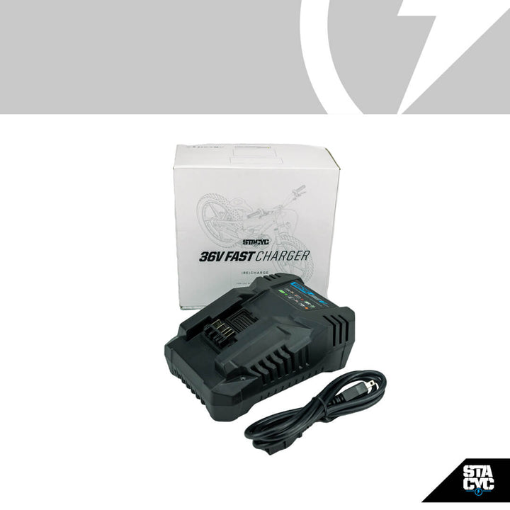 STACYC 36V Charger
