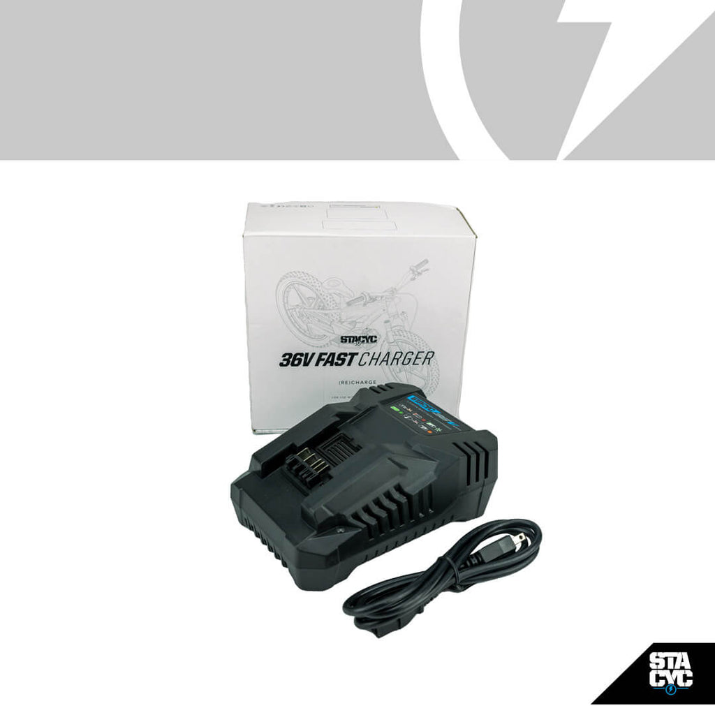18V REPLACEMENT SMART BATTERY CHARGER - STACYC