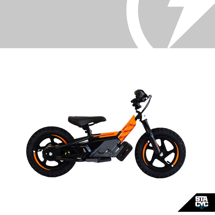 H-D IRONe Brushed Pan America Graphics Kit
