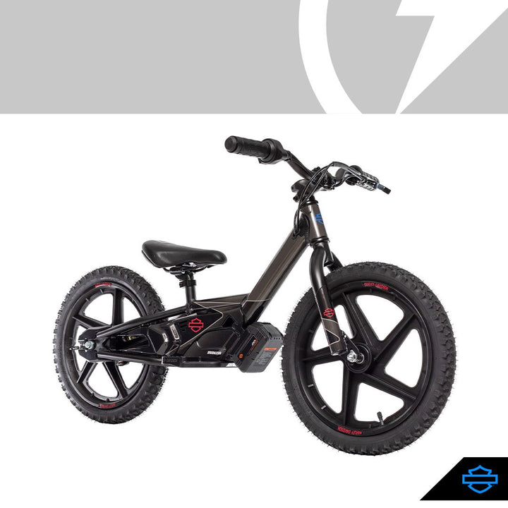 H-D BRUSHLESS IRONe #1 GRAPHIC KIT - GRAY