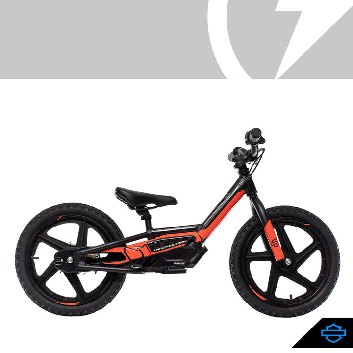 H-D IRONe BRUSHLESS XG-R GRAPHIC KIT