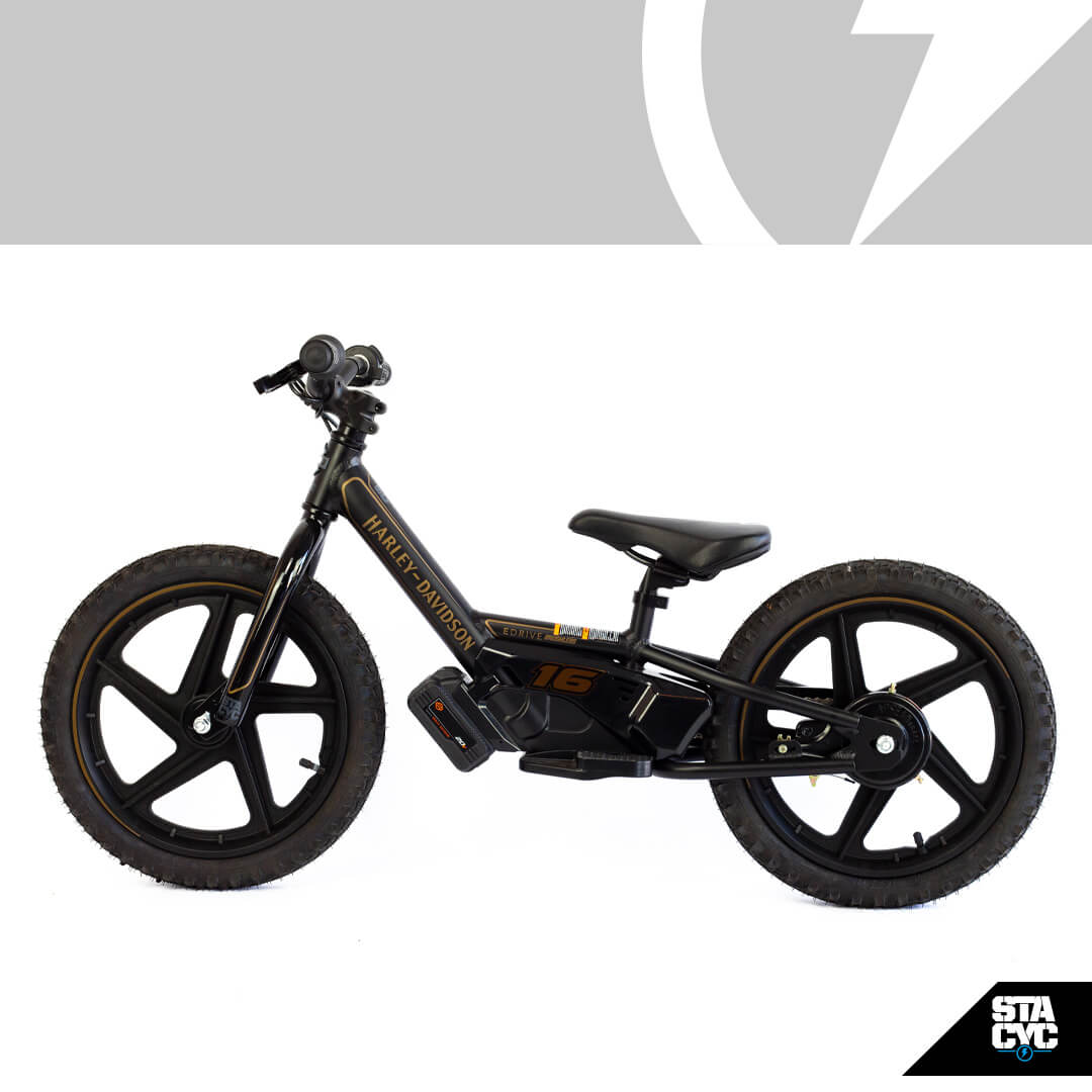 H-D 16eDRIVE BRUSHLESS