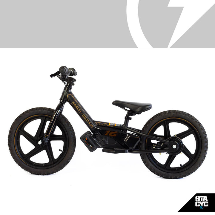 H-D 16eDRIVE BRUSHLESS