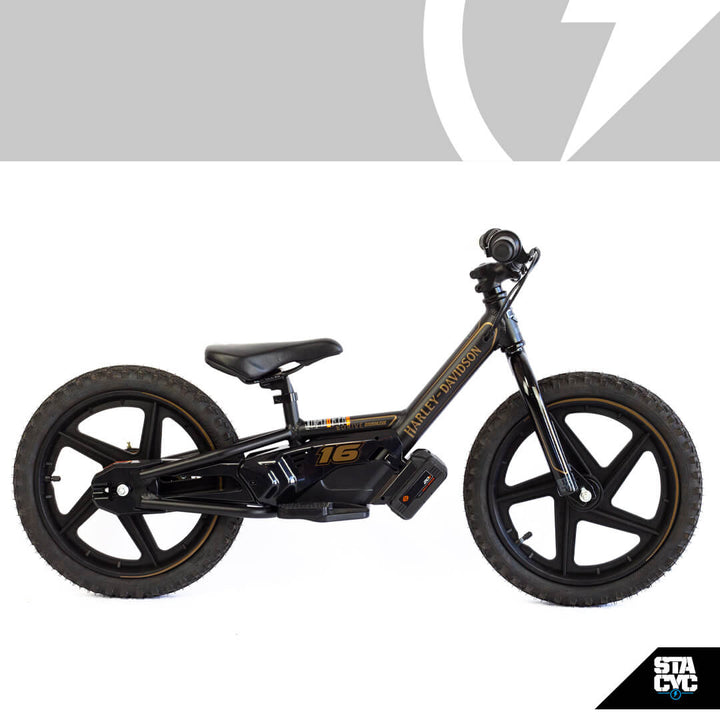 H-D 16eDRIVE BRUSHLESS