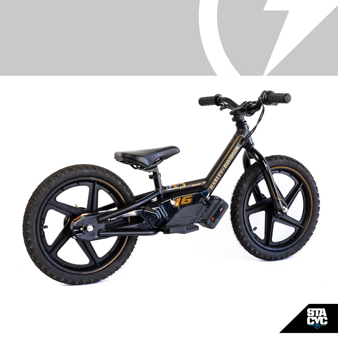 H-D 16eDRIVE BRUSHLESS
